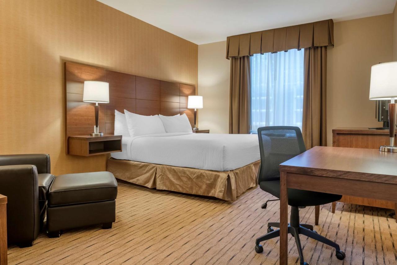 Best Western Plus, Bathurst Hotel & Suites Zewnętrze zdjęcie